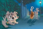 Scamp and Angel (left) are sort of like Lady and Tramp (right) in the 2001 sequel "Lady and the Tramp II: Scamp's Adventure", which returns to DVD on June 20th. Click for more information.