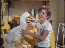 This boy and his duck!