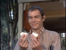 Albert's quite proud of his eggs.