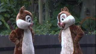 Chip 'n Dale aren't brothers or cousins -- just best friends.