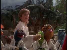 A frame from the fullscreen version on this DVD, where we don't know who these chaps are standing up to and where one of their swords has apparently chopped up Beeker and made Dr. Bunsen Honeydew disappear altogether.