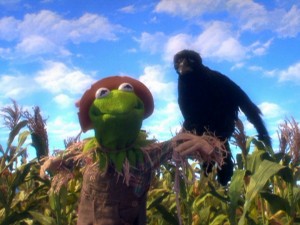 Our old friend Kermit has been reduced to trembling at the sight of crows.