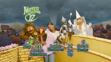 The Main Menu is enhanced for 16x9 televisions, the feature is not.