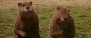 The Beavers (voiced by Ray Winstone and Dawn French) are two of Narnia's most likable characters.