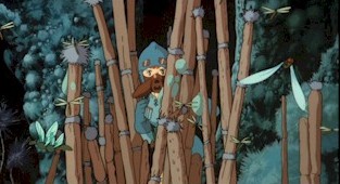 Equipped with an breathing mask, Nausicaä explores the deadly beauty of the Toxic Forest.