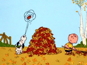 Snoopy helps Charlie Brown with his autumn raking by blowing a single leaf onto his owner's big pile of fall leaves in "It's the Great Pumpkin."