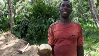 Astute menu navigating skills are rewarded with an introduction to The Coconut Man!