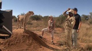 Off-camera, an animal trainer gets a desired reaction from a cheetah in the Namibia making-of featurette.