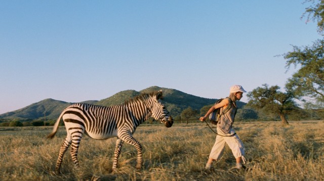 For Jana, Africa's magic includes an easily befriended and led zebra.