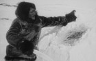 Nanook of the North, The Wedding of Palo and other Films of Arctic Life Blu-ray Review