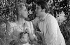 Wild Strawberries: The Criterion Collection Blu-ray Review