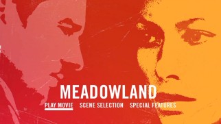Your options are limited on the Meadowland DVD main menu.