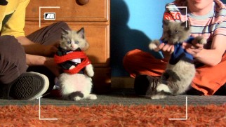 Axl and Brick expect their movies starring adorable kittens and rabbits to go viral.