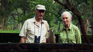 Seasoned primatologists Wolfgang Dittus and Jane Goodall observe a little monkey on the Sri Lankan set of "Monkey Kingdom."