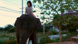 Orphan boy and abandoned elephant are best friends in "My Lucky Elephant."