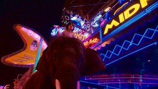The night life in Bangkok includes a boy and his elephant.