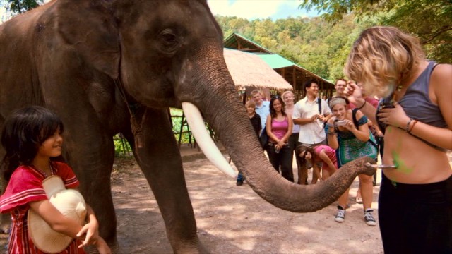 Lucky the elephant ordinarily paints on paper, but a woman's bared midriff works too.