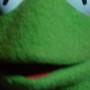 Muppet #1