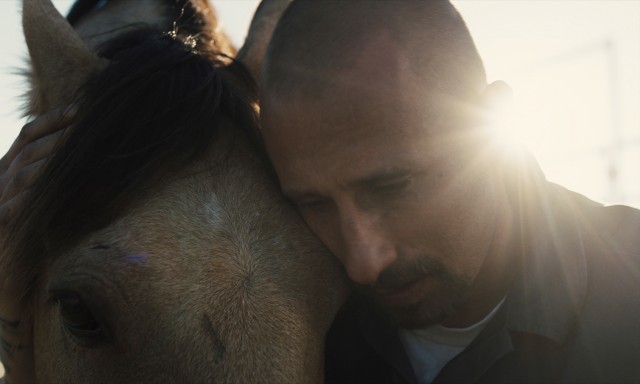 In "The Mustang", imprisoned convict Roman Coleman (Matthias Schoenaerts) tames a particularly difficult buckskin he names Marquis.