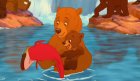 Brother Bear DVD Review