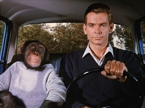 This time, Dean Jones shares the car with a monkey, whose entire face is in the frame.