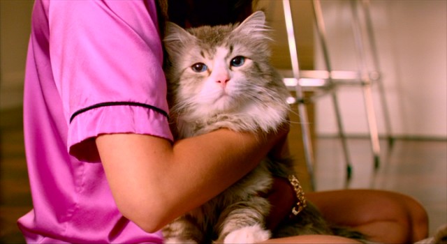 That's no ordinary cat in Jennifer Garner's lap. It's a Kevin Spacey cat!