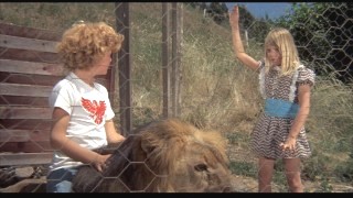 Thanks to Dimitri, Napoleon and Samantha have a new friend: Major the lion!