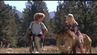 Napoleon, Samantha, and Major set out on an incredible journey to Danny's.