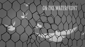 Animated pigeons fly on the grayscale menus of Discs 1 and 2.