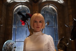 Cold-hearted museum taxidermy director Millicent (Nicole Kidman) has her heart set on stuffing Paddington for display.