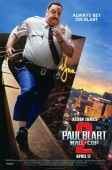 Paul Blart: Mall Cop 2 (2015) movie poster