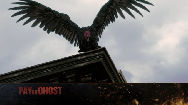 Turkey vultures are an ominous presence in "Pay the Ghost" and its Blu-ray's top menu.