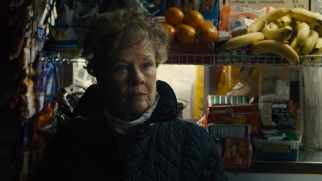 Judi Dench was Oscar-nominated for her performance as Philomena Lee, a devout Catholic woman still bothered by the firstborn child she had to give up.