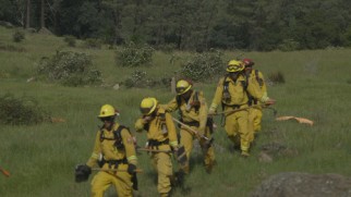 "Air Attack" gives us a look at some of the courageous real firefighters to whom "Planes: Fire & Rescue" is dedicated.