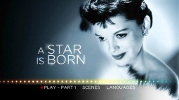 The image used for the set's three main menus seems more appropriate for a Judy Garland Collection cover.