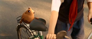 Bailey the Magic Gourd tags along with Raymond in the carrier of his bicycle.
