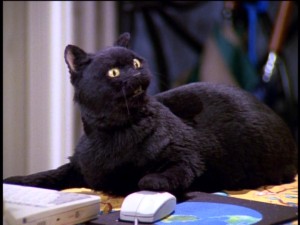 You won't get more of a late-1990s vibe from any other cat and mouse than Salem Saberhagen and this computer pointing device.