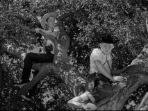 Why are Russell and Speckle up in a tree? Because there's a 'bar' below. Where's Davy Crockett when you need him?