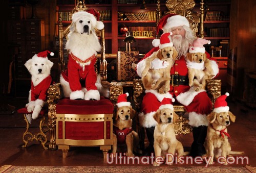 Front Row Left to Right: Budderball, B-Dawg, Mudbud; Back Row Left to Right: Puppy Paws, Santa Paws, Buddha, George Wendt, Rosebud.