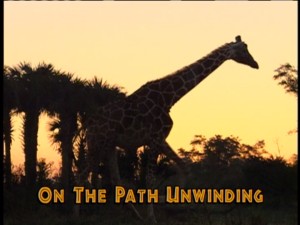 "Circle of Life" is as good a selection to end your safari as any.