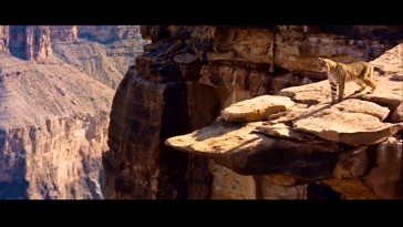Be careful, kitty. A wild cat looks out over the Grand Canyon in Disney's Oscar-winning short.