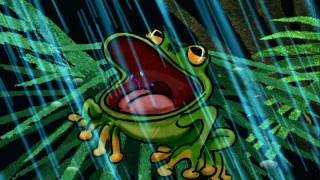 If you don't save The Rainforest, how will creepy frogs stay refreshed?