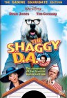 The Shaggy D.A. (1976): The Canine Candidate Edition