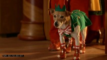 No animals were harmed in the making of the film, but thanks to elf costumes and facial motion sensors, some sure were embarrassed.