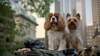 You can't have a 2000s direct-to-video Disney movie without some dogs. At least these pooches don't talk.
