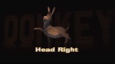 You could "Learn the Donkey Dance", but it's a lot less fun than the Safety Dance.