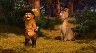 The gag gets more mileage with sound, but Shrek's two sidekicks Puss in Boots and Donkey switch bodies on account of one of Merlin's spells.