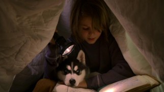 Adam (Dominic Scott Kay) catches up on some late night reading with his trusted companion Shasta (voiced by Dylan Sprouse).