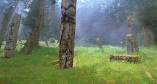 An eery-looking forest somewhere.