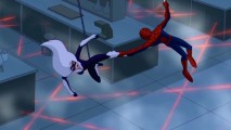 Dangling above security lasers, Spider-Man wards off Black Cat as she attempts to steal an extraterrestrial substance from Dr. Connors' lab.